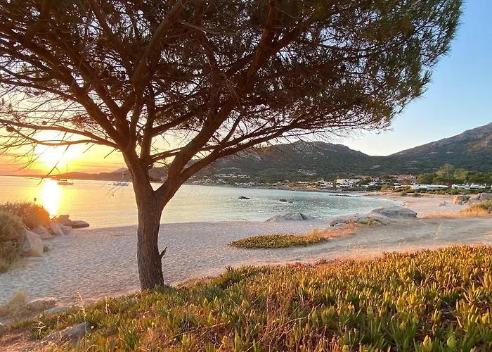 Appartamento Marine De Sant Ambroggio-haute-corse-bel Vue - 3 Min De La Lumio (Corsica)