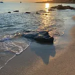 Marine De Sant Ambroggio-haute-corse-bel Vue - 3 Min De La * Lumio (Corsica)