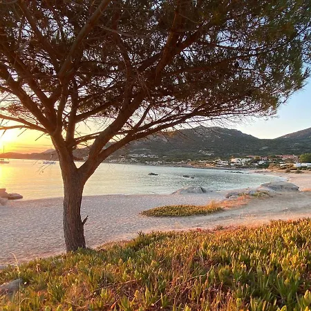 Apartament Marine De Sant Ambroggio-haute-corse-bel Vue - 3 Min De La Lumio (Corsica)